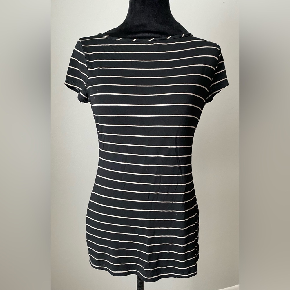 Green Envelope Black and Tan Short Sleeve Stretch T Shirt